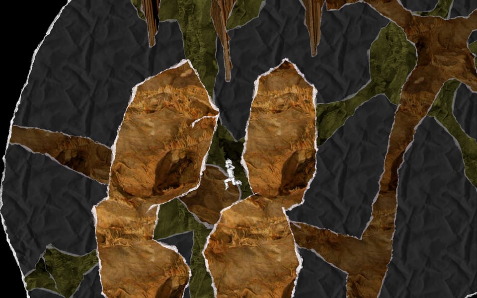 Gameplay screenshot from And Yet It Moves: canyon.